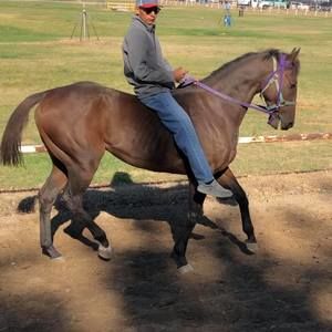 Meet your Posher, Jackson